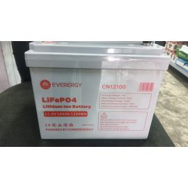 Everergy Lithium Battery(12.8V 100AH 1280WH)